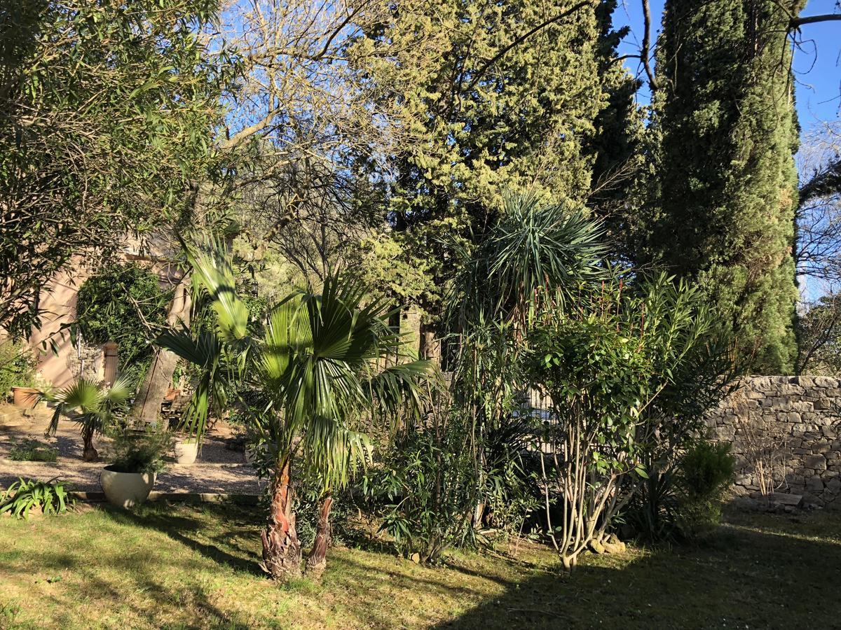 Auberge De Pachoquin Meounes-les-Montrieux Exteriör bild